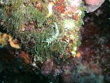2012-09-19 12-04-26 Steven
